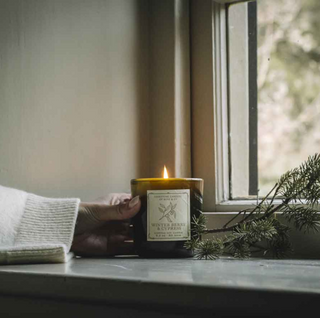 Winter Berry & Cyprus - 8.5oz Soy Candle