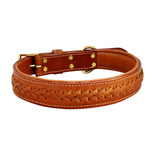 Busbee Dog Collar, front side, dog collars, collars for dogs, leather dog collar, shop for pets, genuine leather, hand-braided, polished brass hardware, various sizes, liamandlana.com 