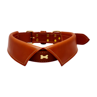 Winslow Dog Collar - Tan, front side, dog collars, collars for dogs, leather dog collar, shop for pets, genuine leather, polished brass hardware, various sizes, liamandlanna.com 